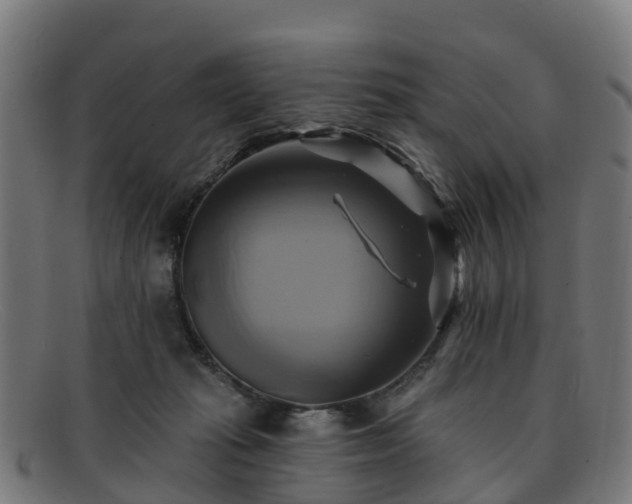 X0000091910269200709121523