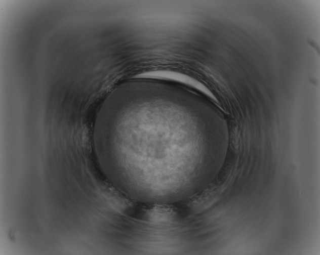 X0000091910270200709121523