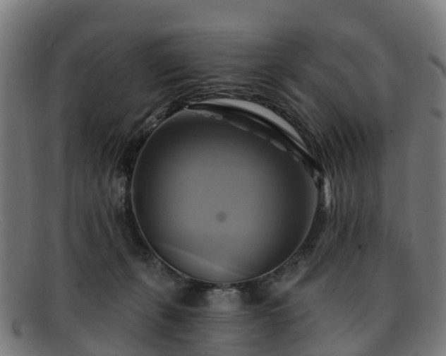 X0000091910271200709121523