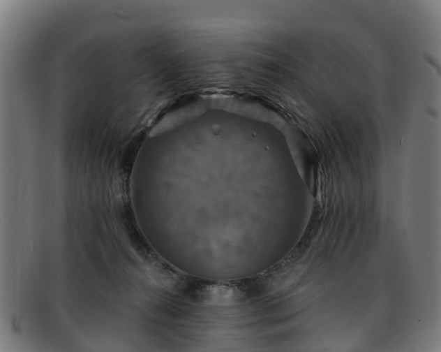 X0000091910272200709121523