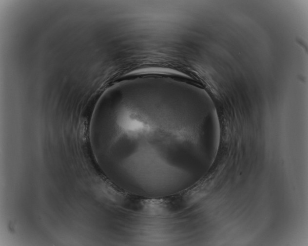 X0000091910273200709121523