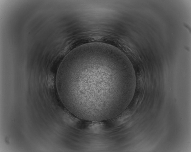 X0000091910274200709121523