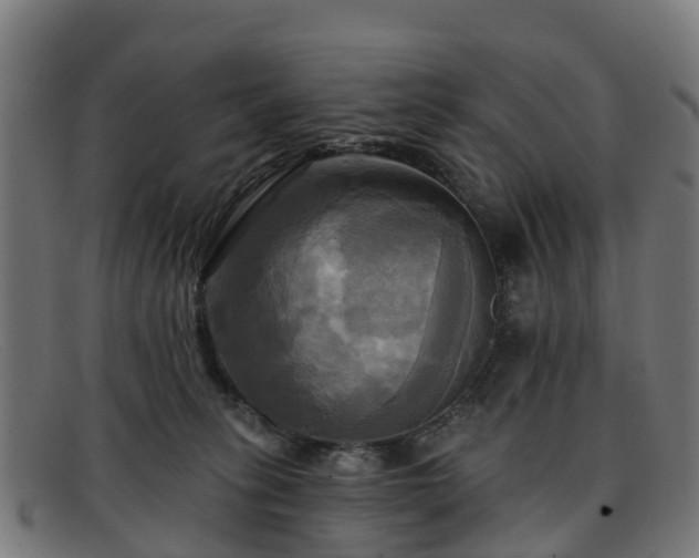 X0000091910275200709121523