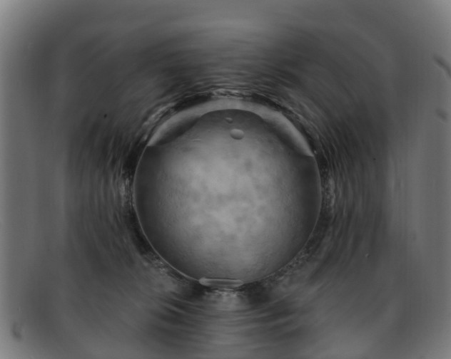 X0000091910276200709121523