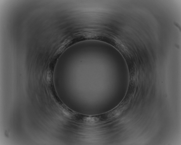 X0000091910277200709121523