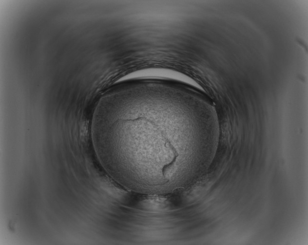 X0000091910278200709121523