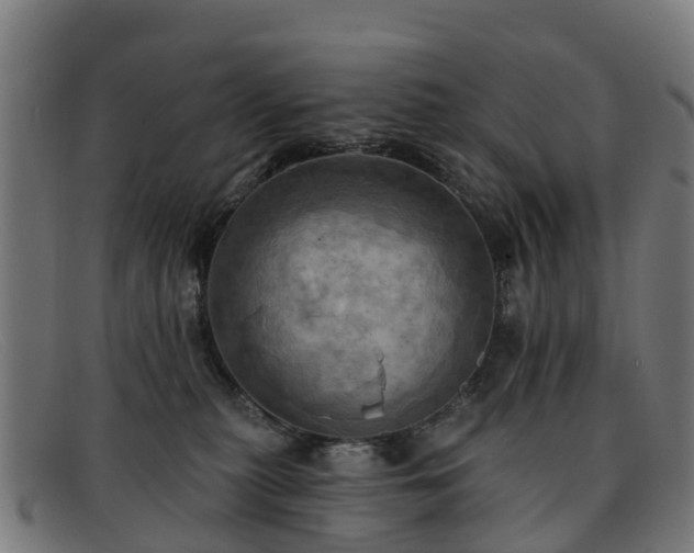 X0000091910279200709121523