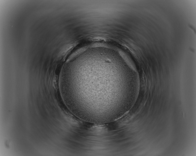 X0000091910280200709121523