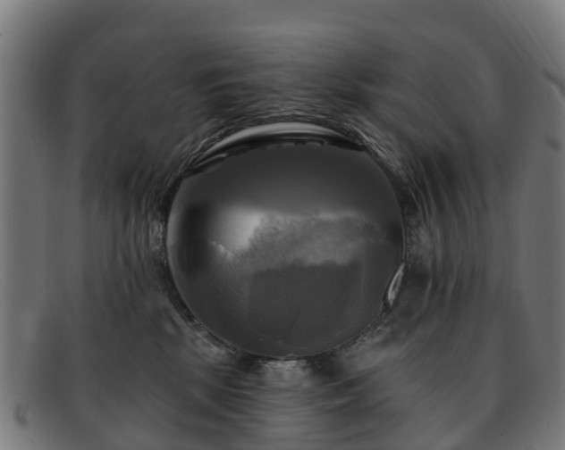 X0000091910281200709121523