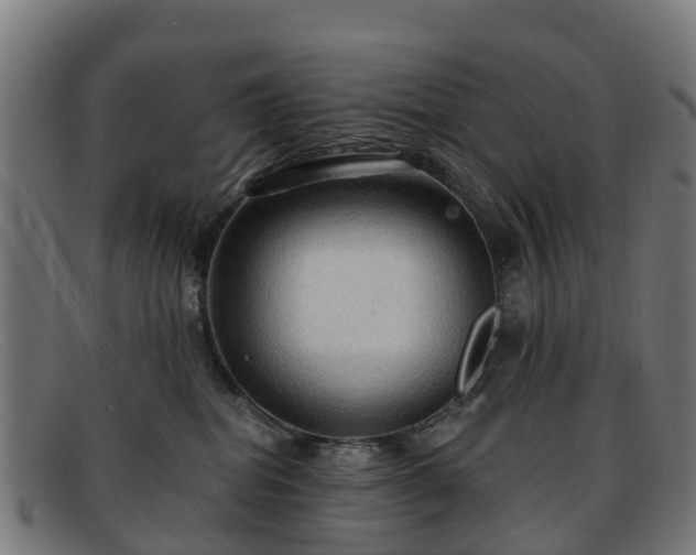 X0000091910282200709121523