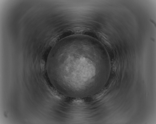 X0000091910283200709121523