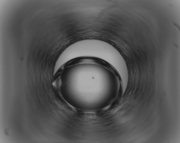 X0000091910284200709121523