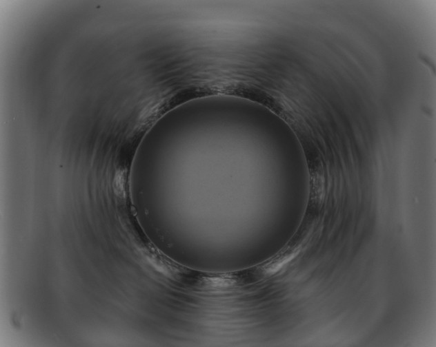 X0000091910286200709121523