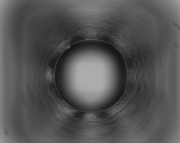 X0000091910287200709121523