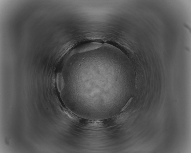 X0000091910288200709121523