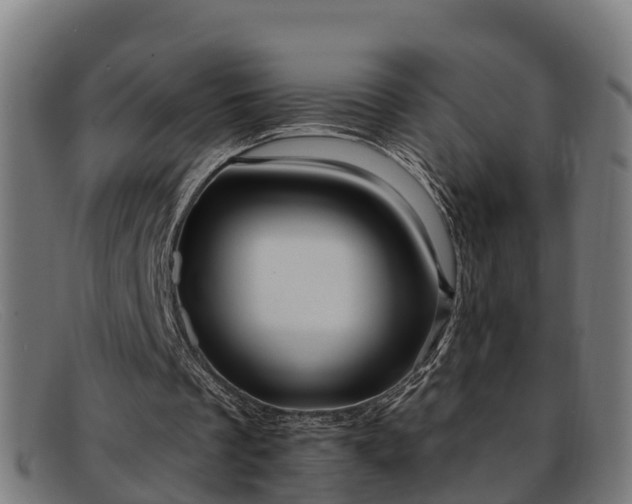 X0000091910289200709121522