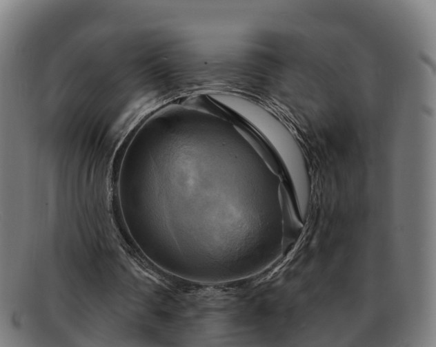 X0000091910290200709121522