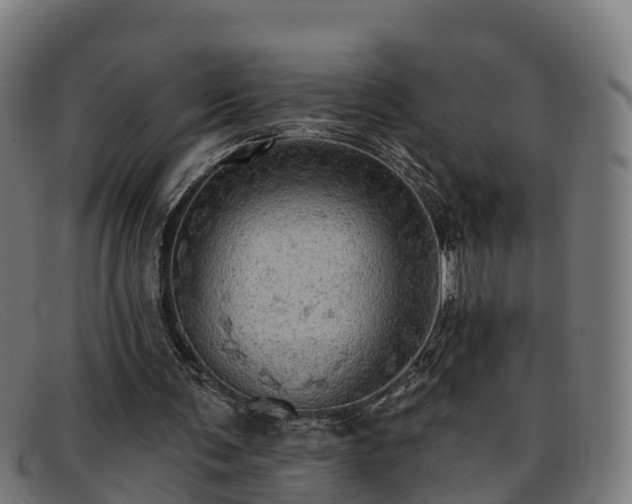 X0000091910291200709121522