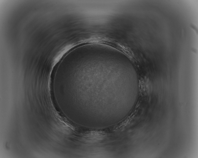 X0000091910292200709121522