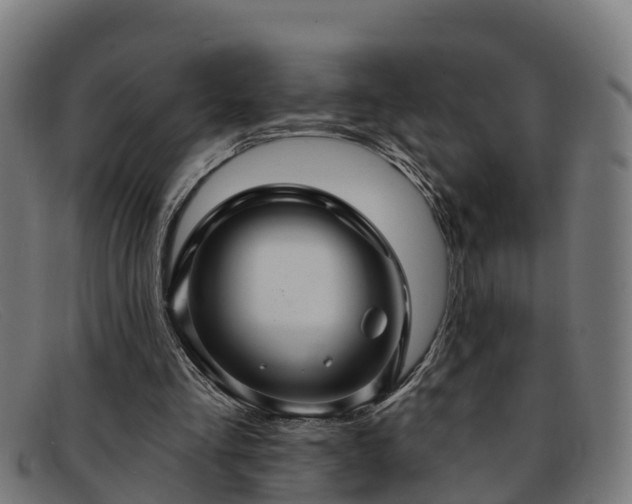 X0000091910293200709121522