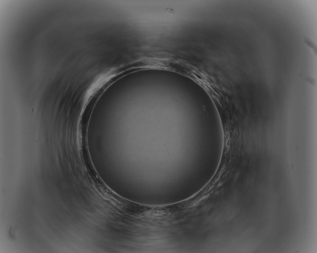 X0000091910294200709121522