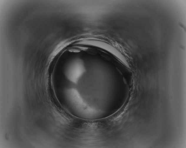 X0000091910295200709121522