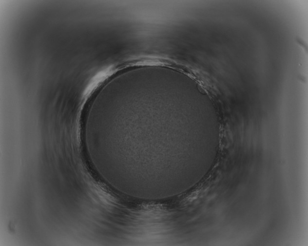 X0000091910296200709121522