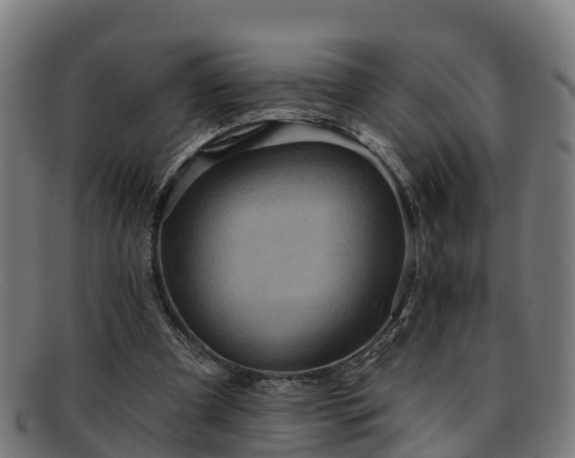 X0000091910297200709121522