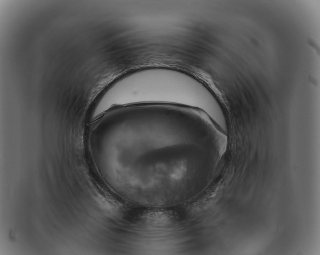 X0000091910299200709121522