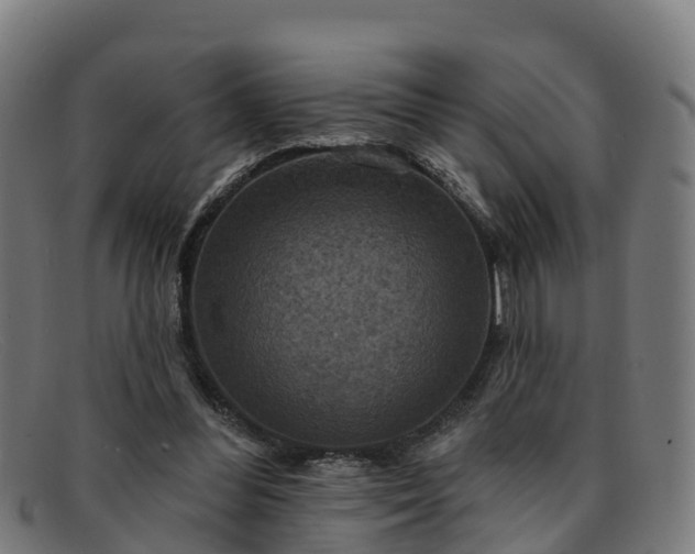 X0000091910300200709121522