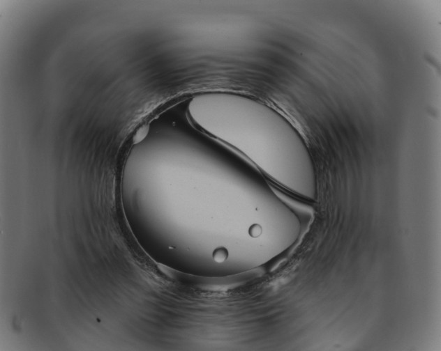 X0000091910301200709121522