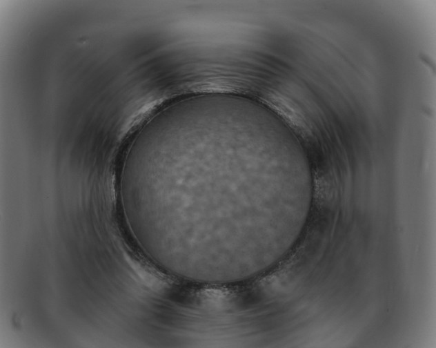 X0000091910302200709121522