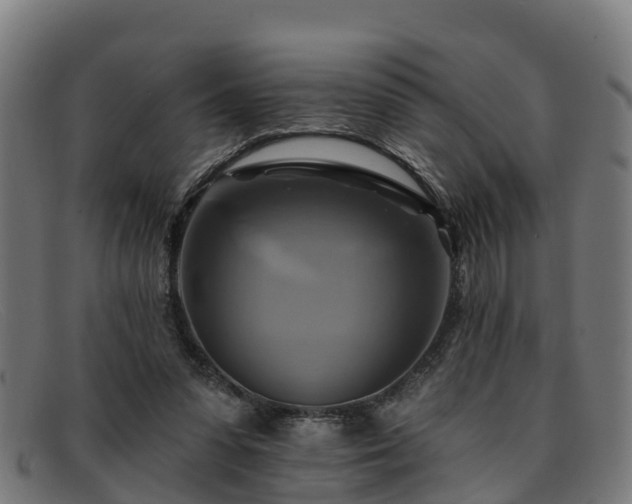 X0000091910303200709121522