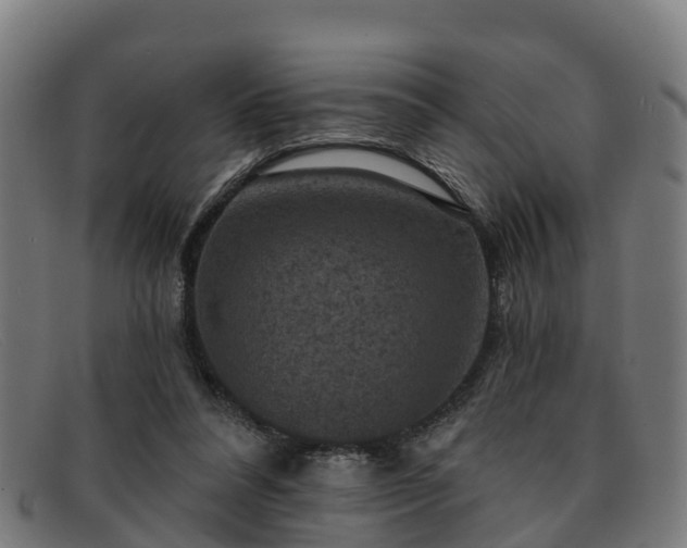 X0000091910304200709121522