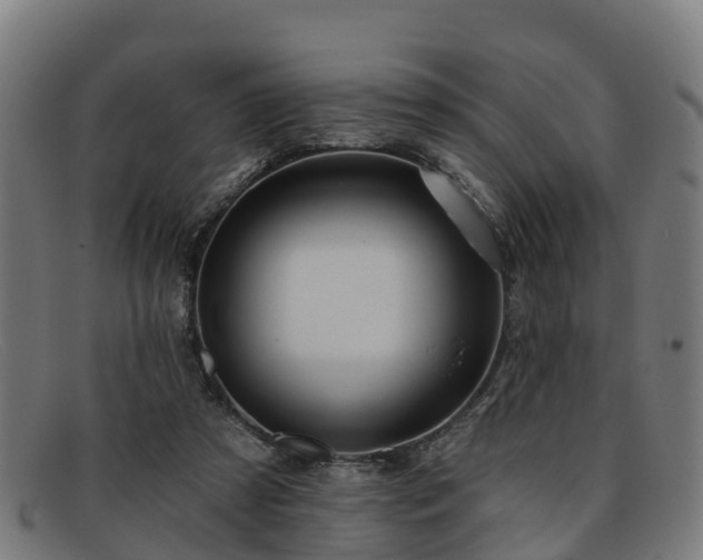 X0000091910305200709121522