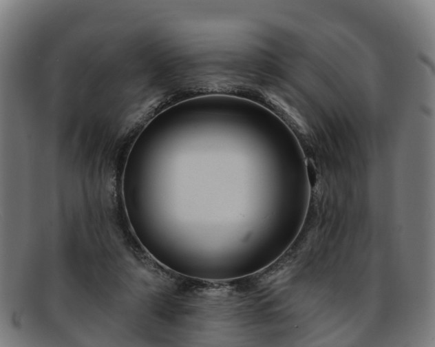 X0000091910306200709121522