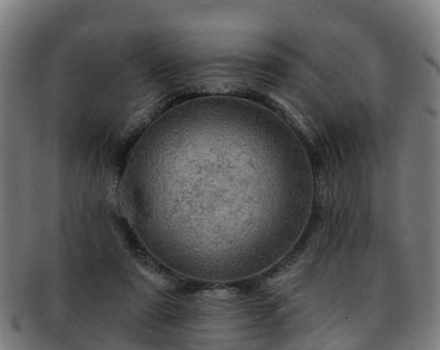 X0000091910307200709121522