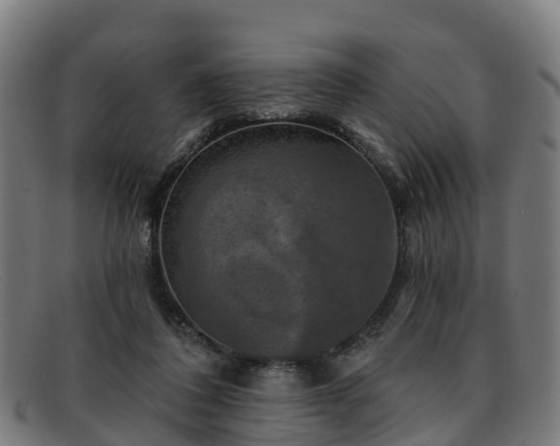 X0000091910308200709121522