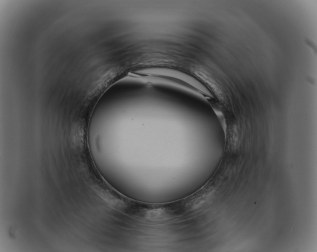 X0000091910309200709121522