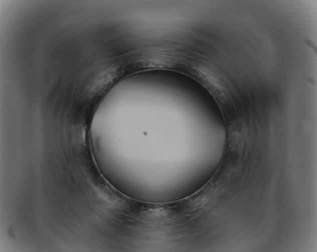 X0000091910310200709121522