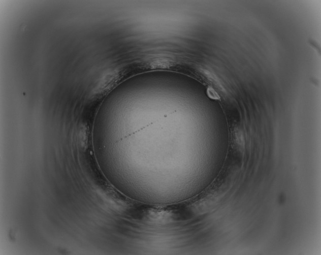 X0000091910311200709121522