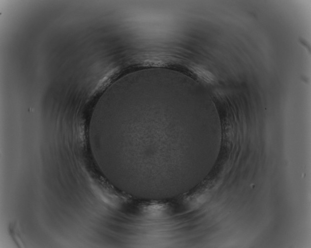 X0000091910312200709121522