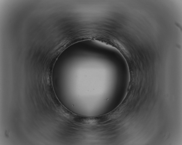 X0000091910313200709121522