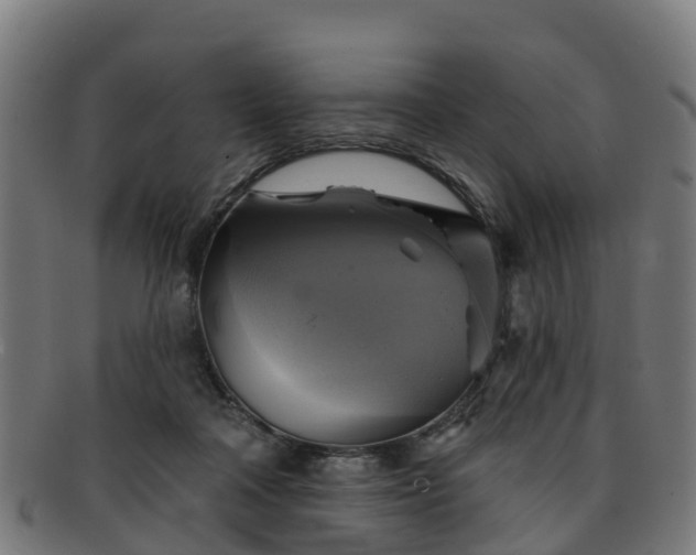 X0000091910314200709121522