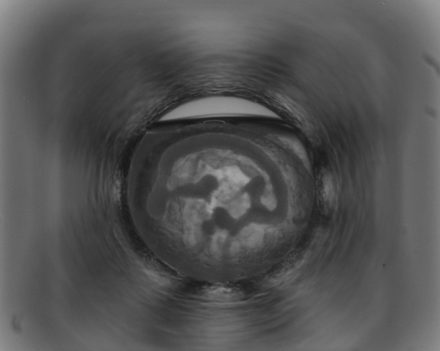 X0000091910315200709121522