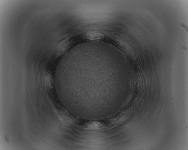 X0000091910316200709121522