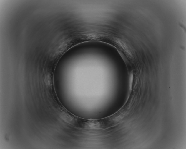 X0000091910317200709121522