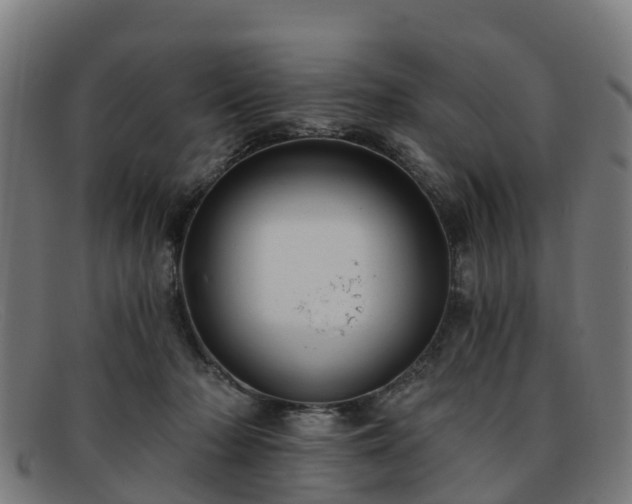 X0000091910318200709121522