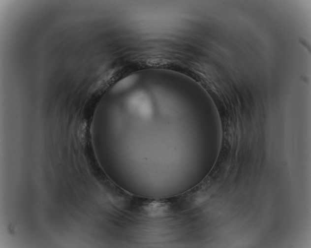 X0000091910319200709121522