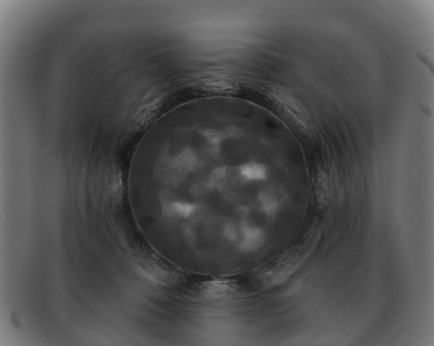 X0000091910320200709121522